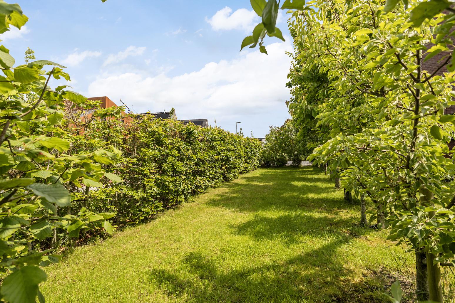 Blitsaerderleane 46 in Leeuwarden