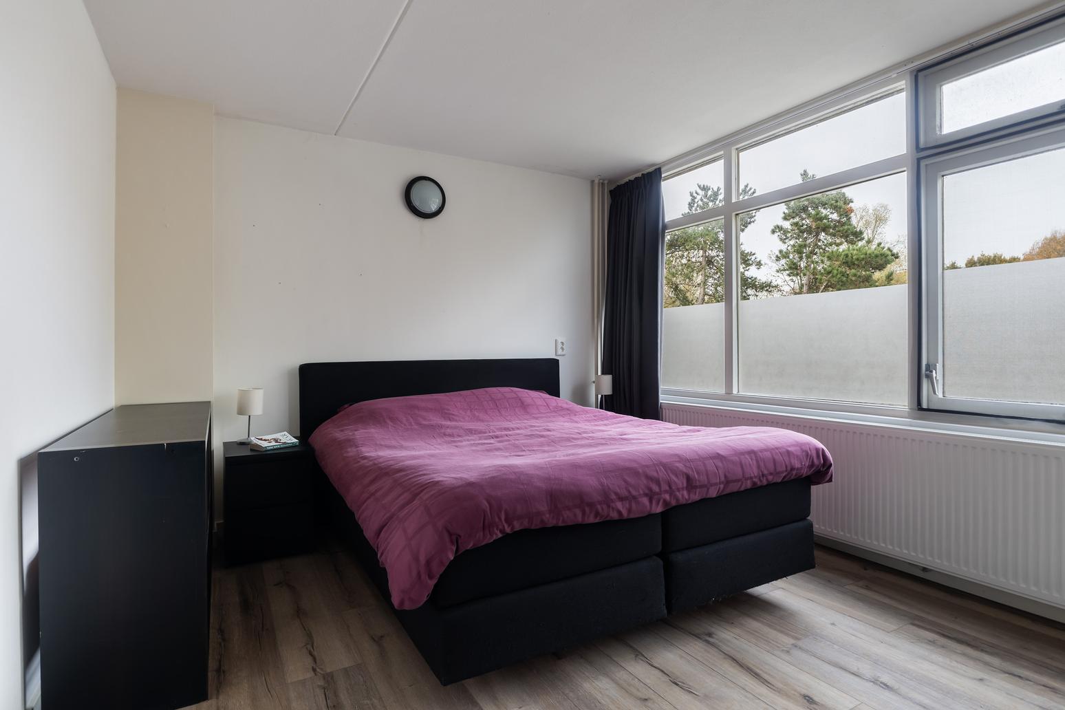 Kamgras 149 in Leeuwarden