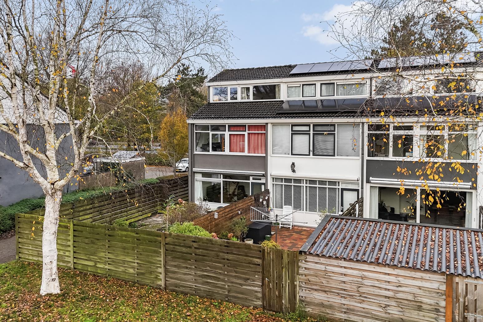 Kamgras 149 in Leeuwarden