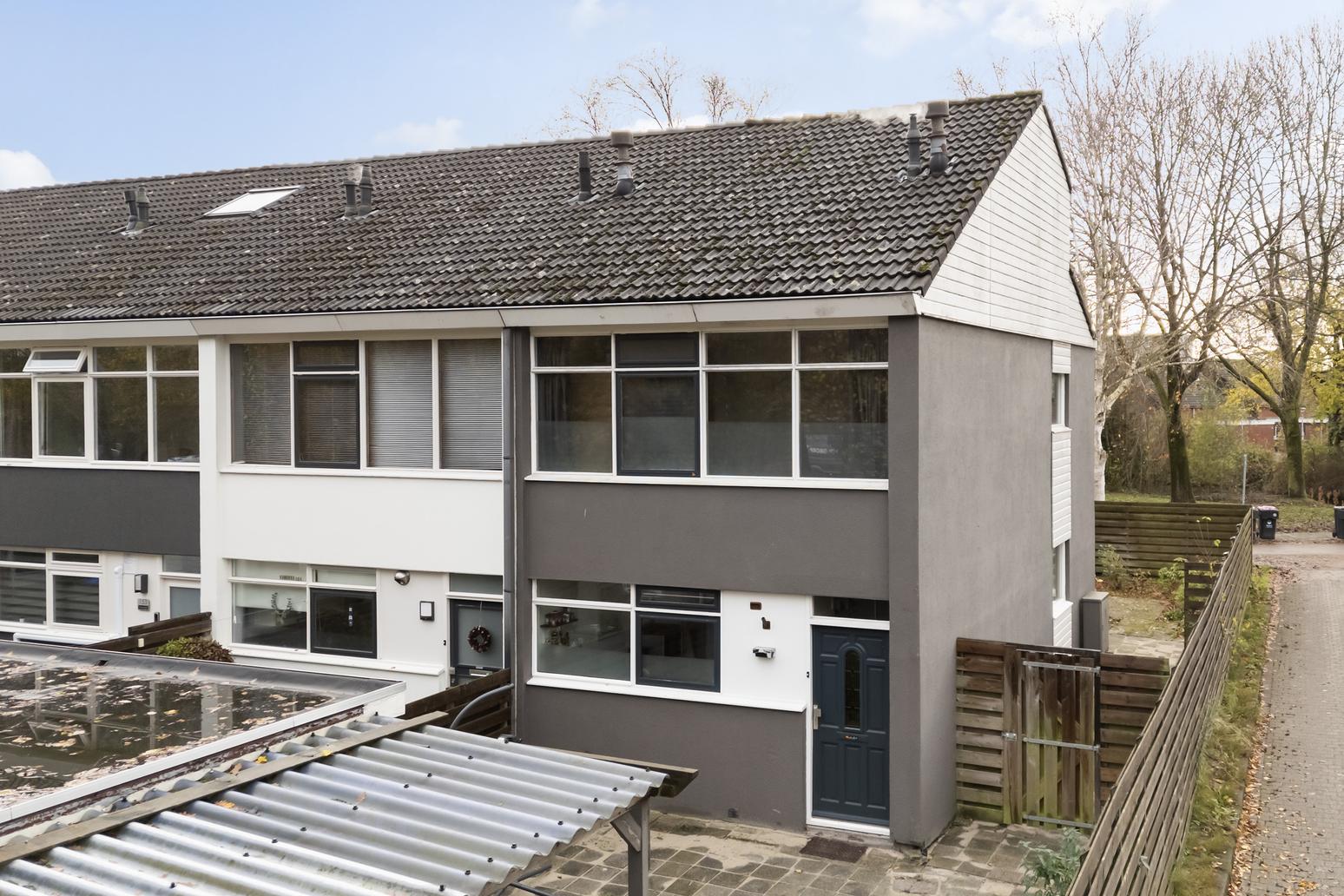 Kamgras 149 in Leeuwarden